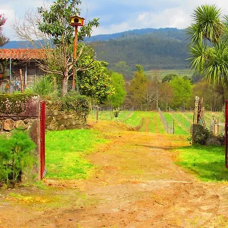 別荘 Casa Do Campo - Vila E Campo Al
